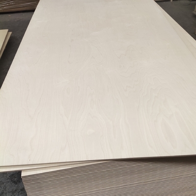 High Quality Eco-Friendly Birch Veneer-Faced Plywood Sheets Durable and Elegant for Commercial and Living Room Furniture