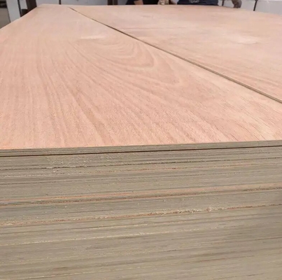 High Quality Durable Okoume Wood Sheets Smooth Finish Birch Veneer Plywood for Furniture for Living Room Bedroom Kitchen