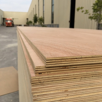 High Quality Durable Okoume Wood Sheets Smooth Finish Birch Veneer Plywood for Furniture for Living Room Bedroom Kitchen
