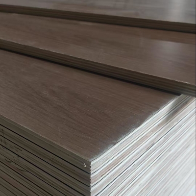 High Quality 18mm Melamine-Faced Waterproof Plywood Furniture Non-Slip 3D Spacious Classic Wilde-Werbung Function E1