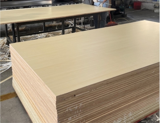 High Quality 18mm Melamine-Faced Waterproof Plywood Furniture Non-Slip 3D Spacious Classic Wilde-Werbung Function E1