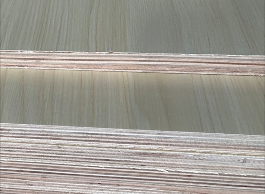 4x8 18mm Decorative Melamine Laminated Plywood Panels for Furniture Decoration E0 Standard for Marine Plywood for Villas